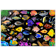 Load image into Gallery viewer, 06080477-b8fa-4db5-a02a-45aba26f3622