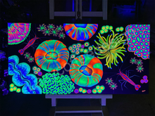 Load image into Gallery viewer, Reef garden/ Cleaner shrimp #2 on 12 x 24” Canvas