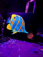 Load image into Gallery viewer, Copperband butterly on 16x 12”Canvas