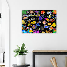 Load image into Gallery viewer, 37be0fa1-e1e4-498d-8753-fbb38234e20f