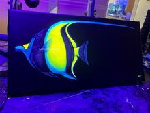 Load image into Gallery viewer, Moorish Idol on 8 x 16” Canvas