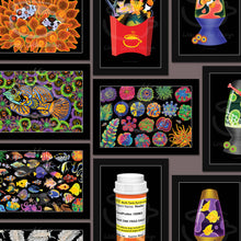 Load image into Gallery viewer, MINI Lazy Reef Fine Art Print