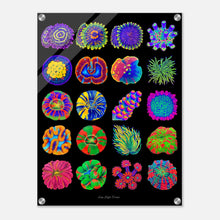 Load image into Gallery viewer, 4bc5828d-ec18-4353-8124-9a55fc9d2ee6