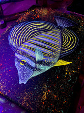 Load image into Gallery viewer, Sailfin Tang on 12 x 16” Canvas