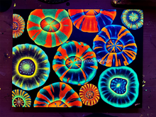 Load image into Gallery viewer, Scoly Garden on 12 x 16” Heavy Duty Gallery Wrap 1.5 “Canvas