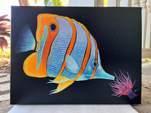 Load image into Gallery viewer, Copperband butterly on 16x 12”Canvas