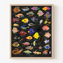 Load image into Gallery viewer, Lazy Reef Fish Fine Art Print 11x 14"