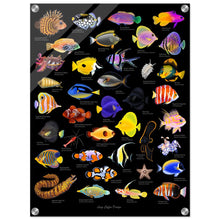 Load image into Gallery viewer, bee370fa-3de0-4426-b0b2-63015ed2148c