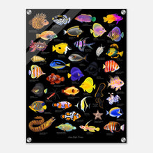 Load image into Gallery viewer, c62d76ea-f6fa-4c12-be6b-711bf7b2d720