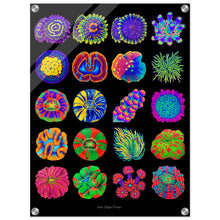 Load image into Gallery viewer, fbf70d2d-37be-4127-b0ae-3a6f00dd0ab9