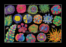 Load image into Gallery viewer, MINI Lazy Reef Fine Art Print