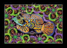Load image into Gallery viewer, MINI Lazy Reef Fine Art Print