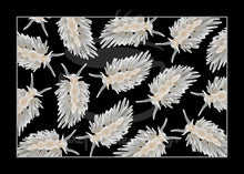 Load image into Gallery viewer, MINI Lazy Reef Fine Art Print