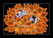 Load image into Gallery viewer, MINI Lazy Reef Fine Art Print
