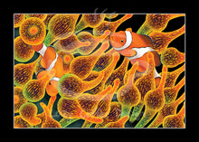 Load image into Gallery viewer, MINI Lazy Reef Fine Art Print