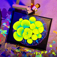 Load image into Gallery viewer, Og bounce mushroom on 4 x 5” Canvas