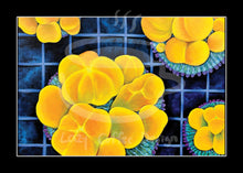 Load image into Gallery viewer, MINI Lazy Reef Fine Art Print