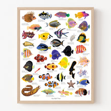 Load image into Gallery viewer, Lazy Reef Fish Fine Art Print 11x 14"
