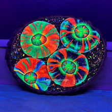 Load image into Gallery viewer, Neptune’s Shield