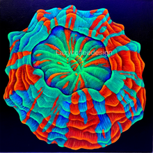 Load image into Gallery viewer, Acantho on 10 x 10” Heavy Duty Gallery Wrap Canvas