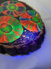 Load image into Gallery viewer, Neptune’s Shield