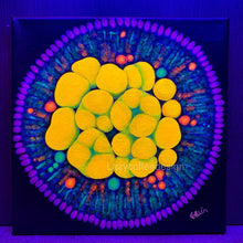 Load image into Gallery viewer, OG bounce on 8 x 8”