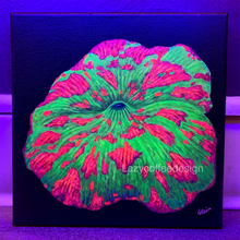 Load image into Gallery viewer, Jawbreaker on 8 x 8 "