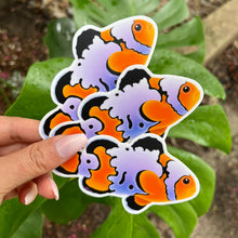 Load image into Gallery viewer, BayAreaReef Clownfish Sticker/ collab with @bayarea_reef