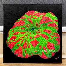 Load image into Gallery viewer, Jawbreaker on 8 x 8 "