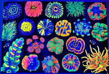 Load image into Gallery viewer, “Coral Reef” UV Reactive Tapestry
