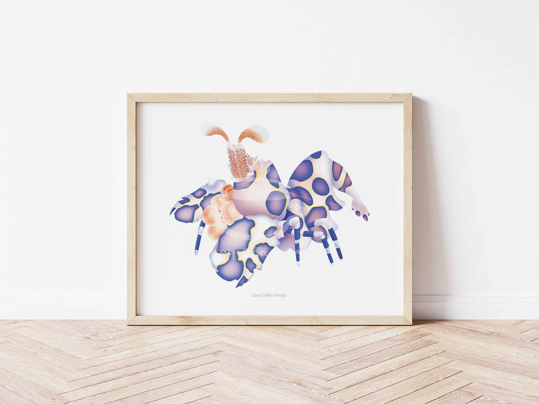 Harlequin Shrimp Fine Art Print