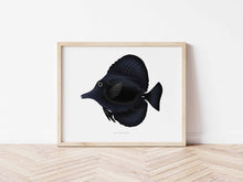 Load image into Gallery viewer, Black Tang Fine Art Print
