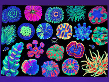 Load image into Gallery viewer, (PRE ORDER Shipped by 06/03/24)“Coral Reef” UV Reactive Tapestry
