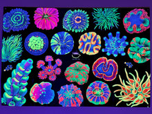 Load image into Gallery viewer, “Coral Reef” UV Reactive Tapestry
