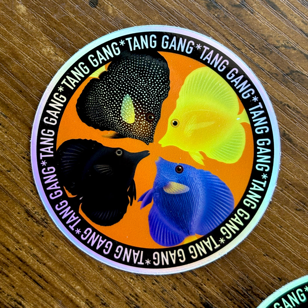 Tang Gang Sticker/ Holographic