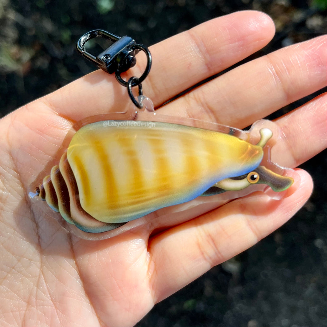 Tiger Conch Snail Keychain