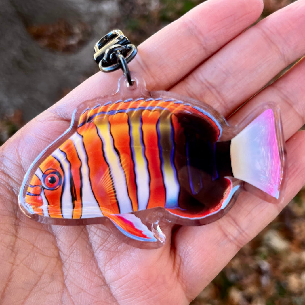 Harlequin Tusk Keychain