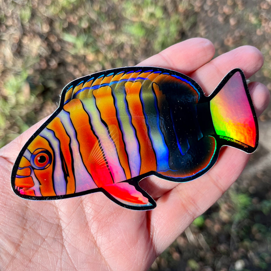 Harlequin Tusk Sticker/ Hologrpahic