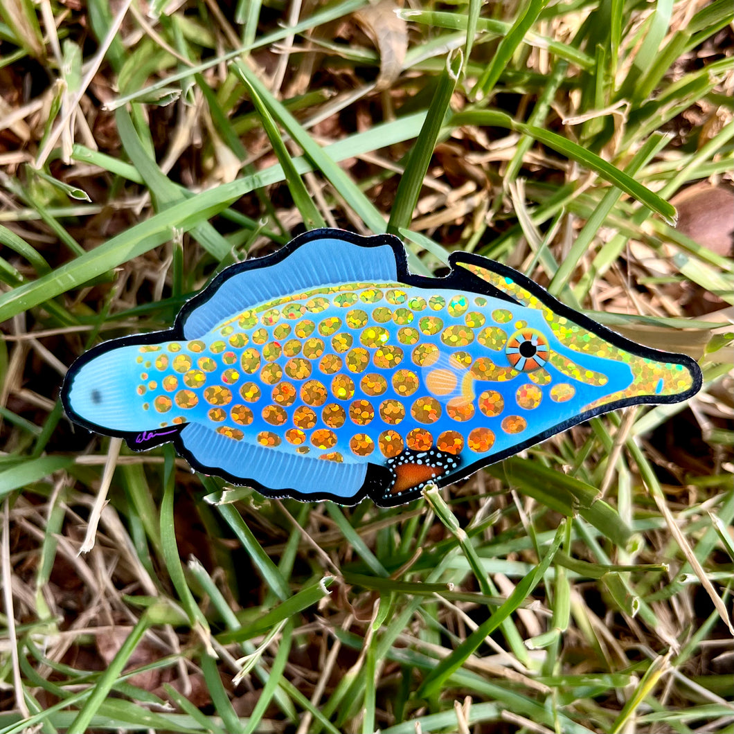 Orange Spotted Filefish Sticker (Glitter)