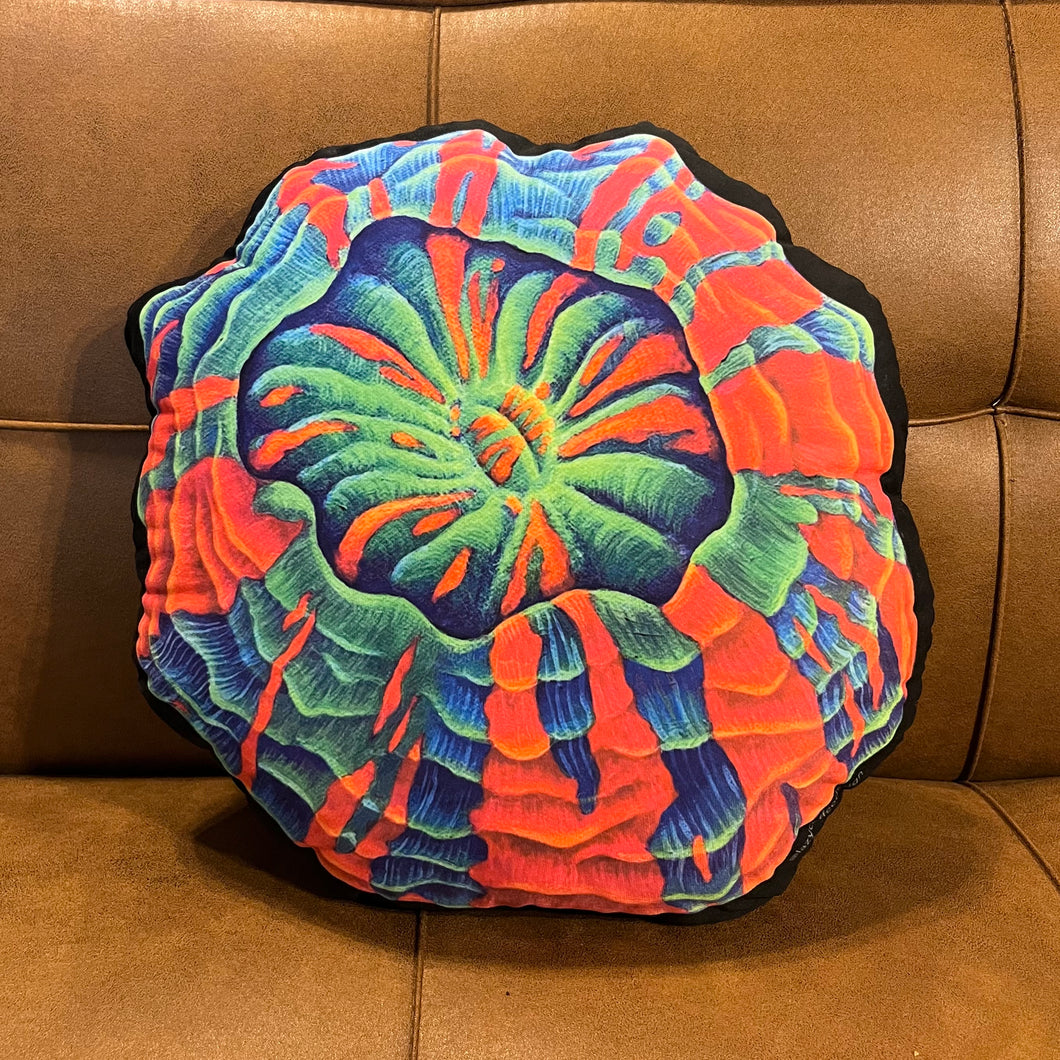 Acantho Pillow