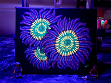 Load image into Gallery viewer, Sunny D Zoanthid on 8 x 10” Canvas
