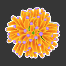 Load image into Gallery viewer, Banana Torch Coral Sticker
