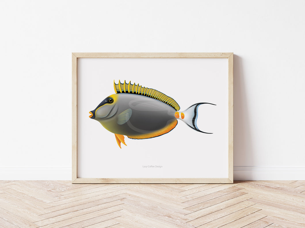 Blonde Naso Tang Fine Art Print