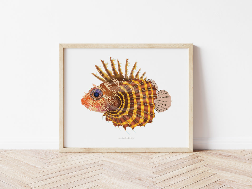 Fuzzy Dwarf Lion Fish Fine Art Print