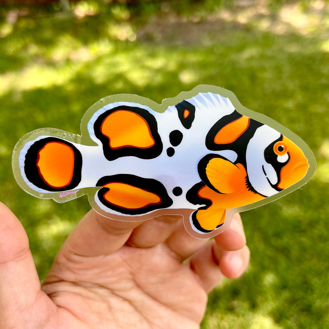 Picasso Designer Clownfish sticker (Clear background)