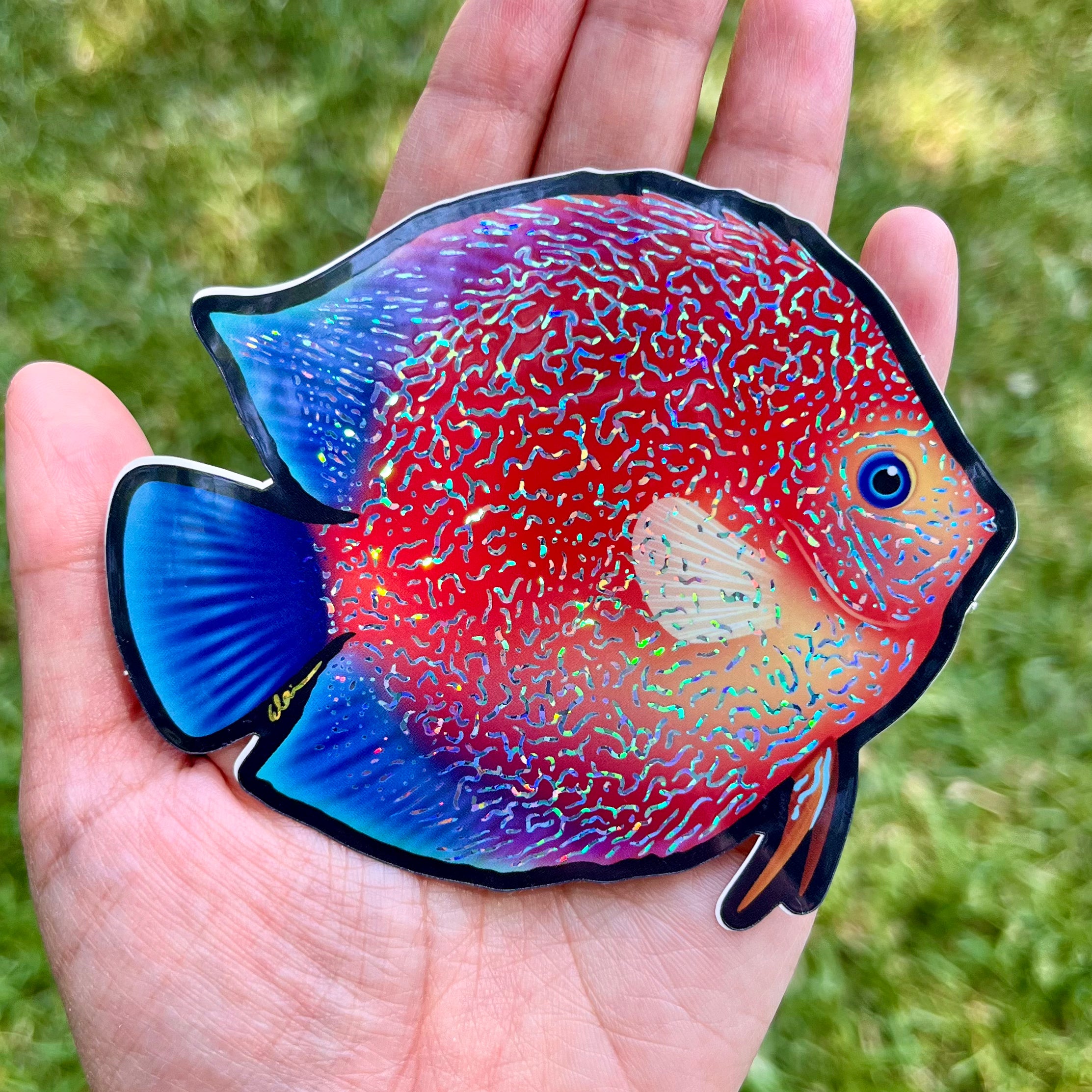 Discus fish sticker/ Glitter – lazycoffeedesign