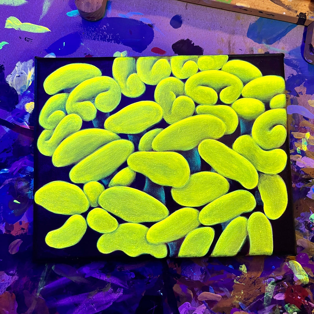 Yellow Hammer Coral on 8 x 10” Canvas