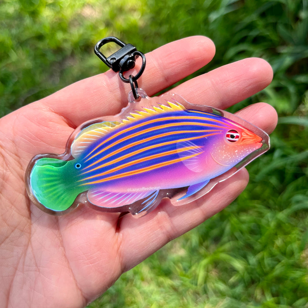 6 Line Wrasse Keychain