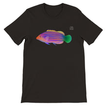 Load image into Gallery viewer, 6 line Wrasse Premium Unisex Crewneck T-shirt
