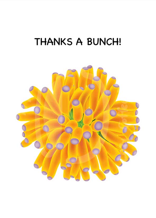 Thanks A Bunch/ Banana Torch Greeting Cards / 7 pack